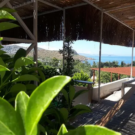 Hotel Oza Boutique