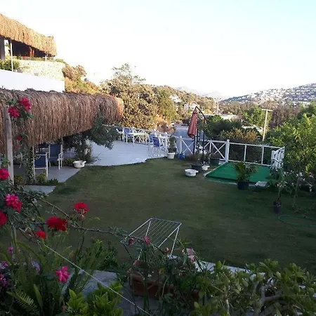 Oza Boutique 4*